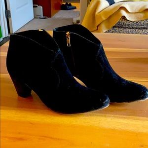 Hush U.K. Black Suede Booties